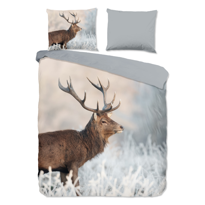 Dekbedovertrek Katoen - Wess - Lits-Jumeaux (240x220 Cm) - Meerkleurig Katoen - Dieren - Good Morning - Dekbed-Discounter.nl